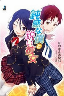 Novel-鈍感な僕と鋭い彼女-Donkan-na-Boku-to-Surudoi-Kanojo.jpg