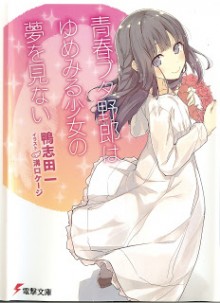 Novel-青春ブタ野郎シリーズ-第01-06巻-Seishun-Buta-Yarou-Series-vol-01-06.jpg