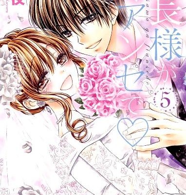 会長様がフィアンセで-第01-05巻-Kaichou-sama-ga-Fiancé-de-vol-01-05.jpg