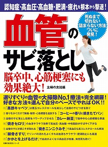 血管のサビ落とし.jpg